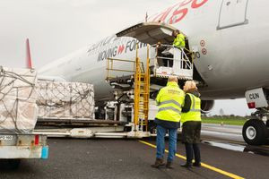 European Cargo enters administration